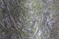 Eastfield Hall fibreglass roof work